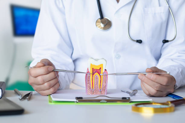 Best Mobile Emergency Dentist in Sedalia, MO